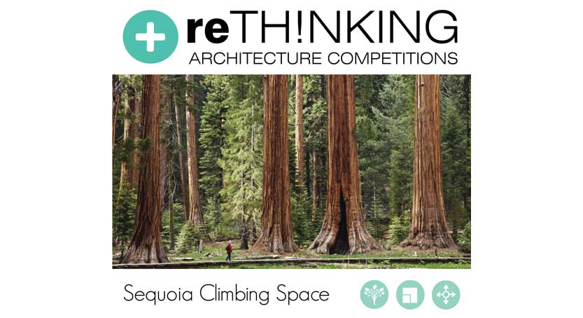 Concurso Sequoia Climbing Space