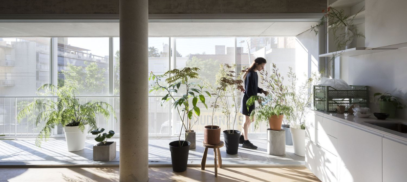 Sucre 812 | Ana Smud y Alberto Smud